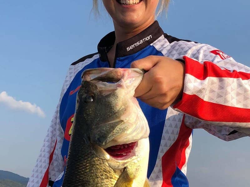 bass-fishing-and-boat-electronics-featured