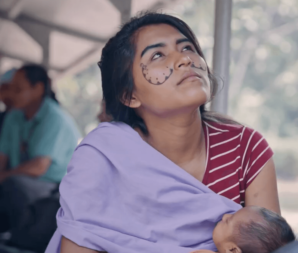 amazons-solar-boats-bringing-hope-for-the-future-featured